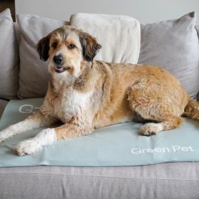 Cool Pet Pad Cover (Color: Sage, Size: medium)