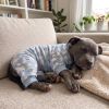 Soft Dog Pajamas - Polar Bears