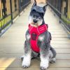 Venture Paw Pull Control Dog Harness