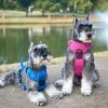Venture Paw Pull Control Dog Harness