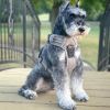 Venture Paw Pull Control Dog Harness