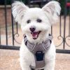 Venture Paw Pull Control Dog Harness