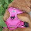 Venture Paw Pull Control Dog Harness