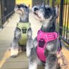 Venture Paw Pull Control Dog Harness